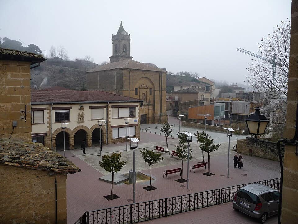 Vista de Villabuena de Álava/Eskuernaga