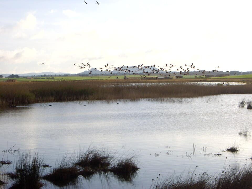 Vista de Pétrola