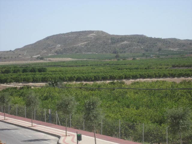 Vista de Algorfa