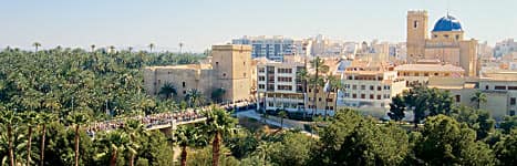 Vista de Elx/Elche