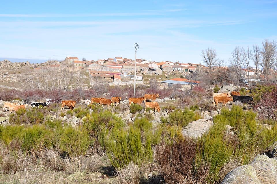 Vista de Gallegos de Altamiros