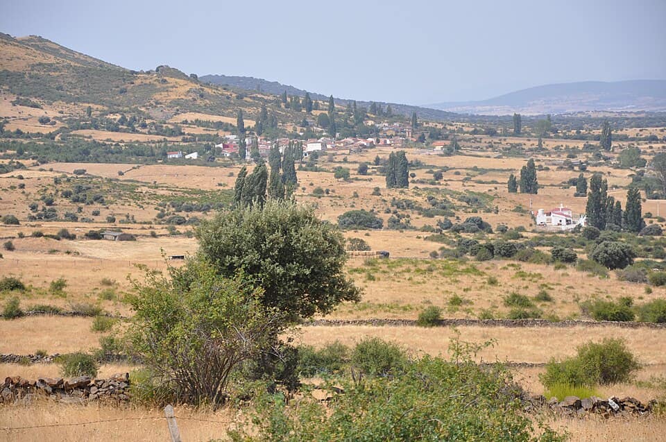 Vista de Narrillos del Álamo