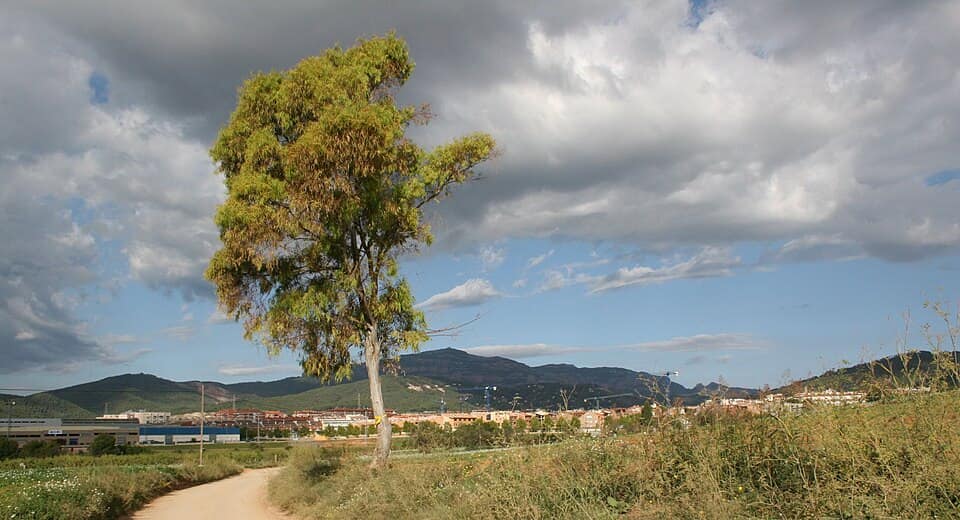 Vista de Castellar del Vallès