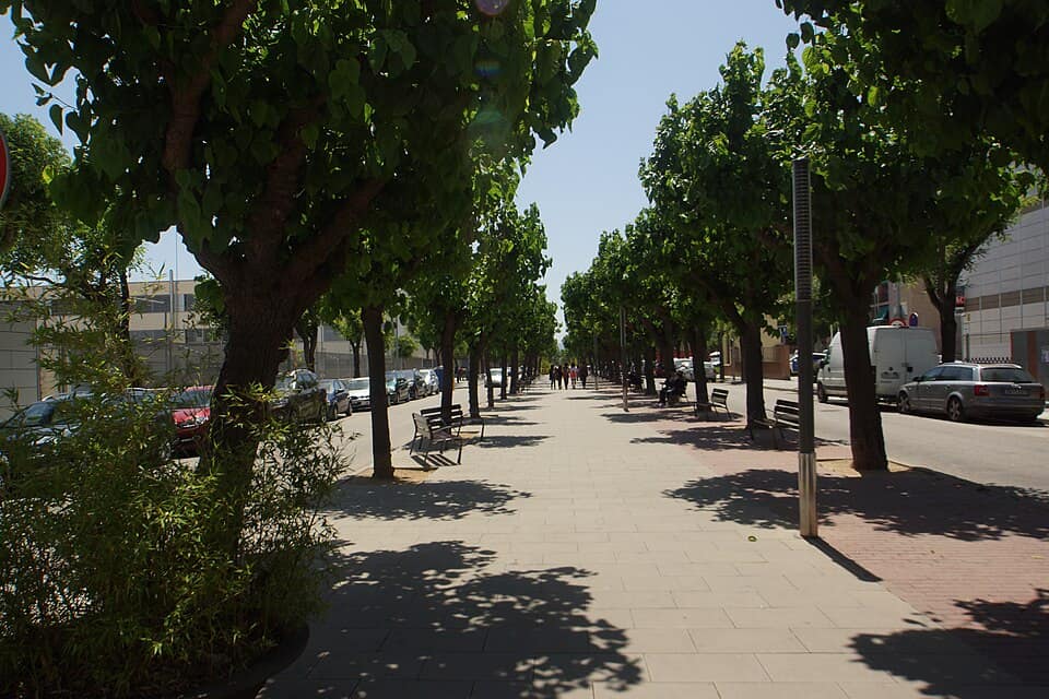 Vista de La Llagosta