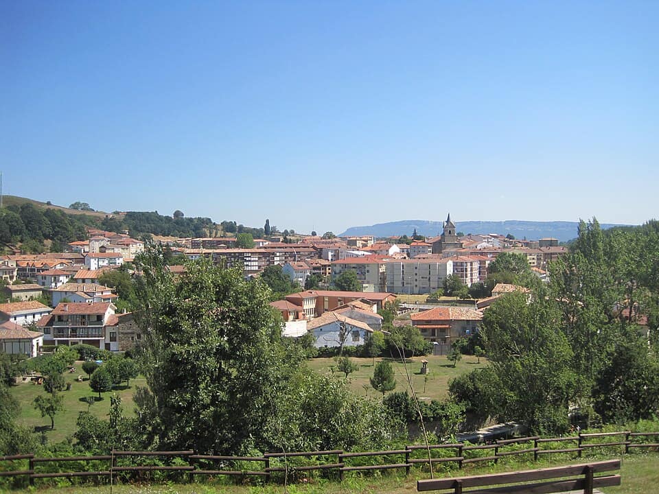 Vista de Espinosa de los Monteros