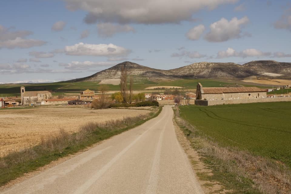 Vista de Pedrosa del Príncipe