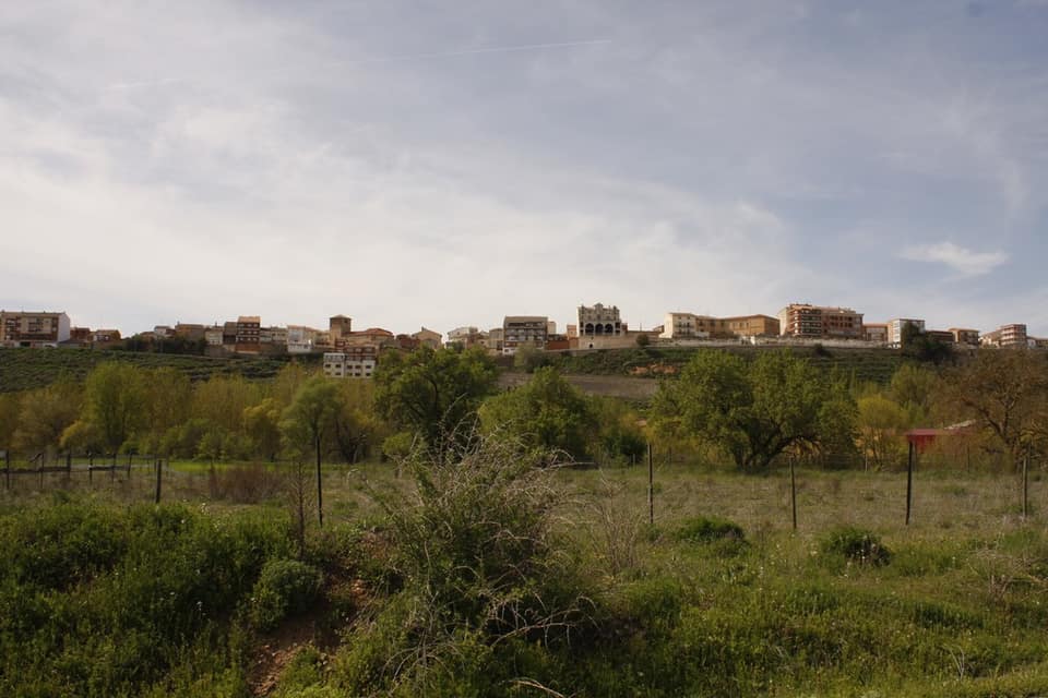 Vista de Roa