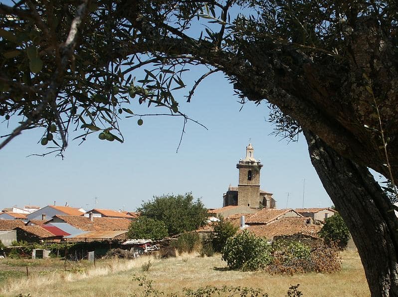 Vista de Guijo de Coria