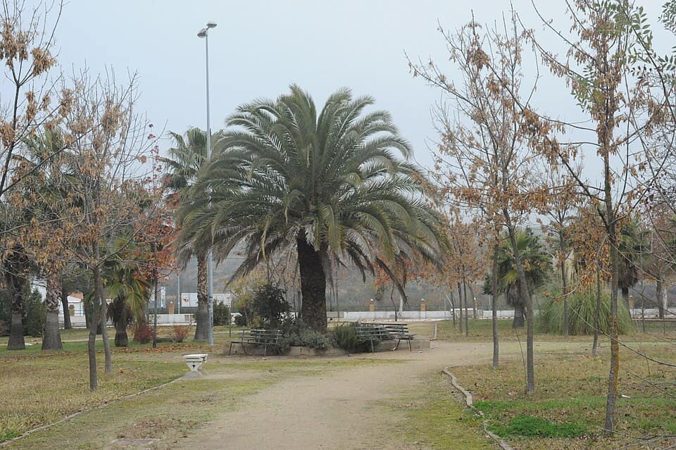 Vista de Riolobos