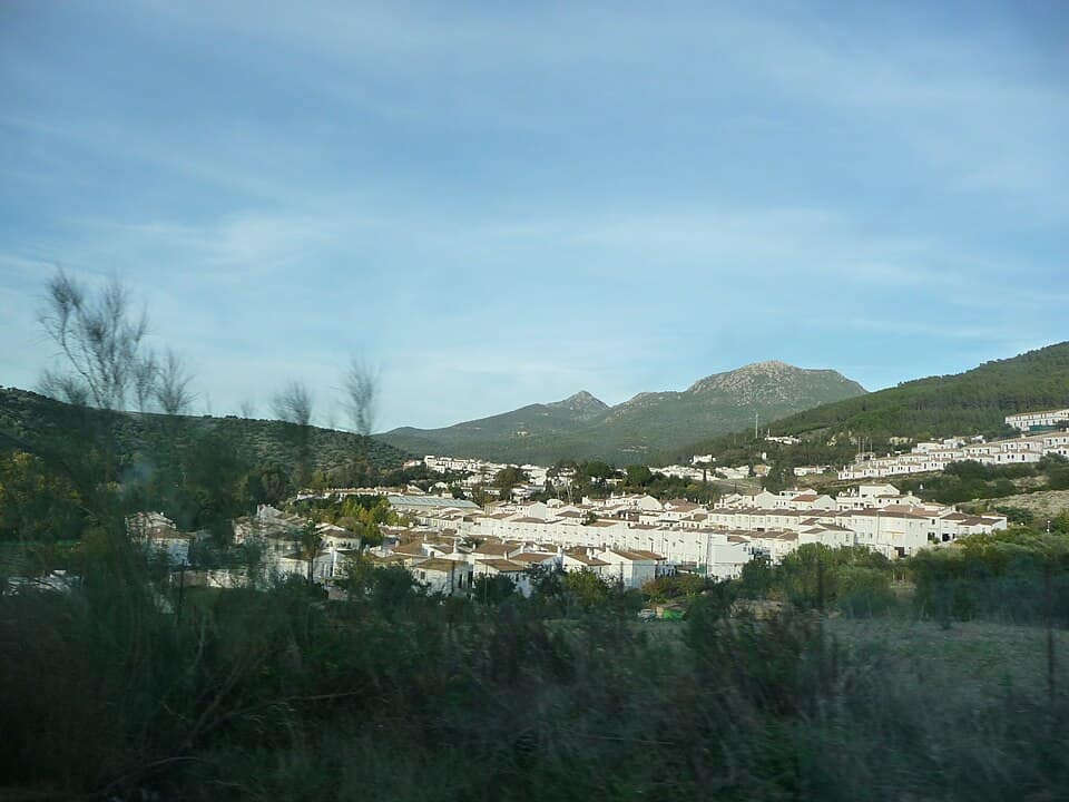 Vista de El Bosque
