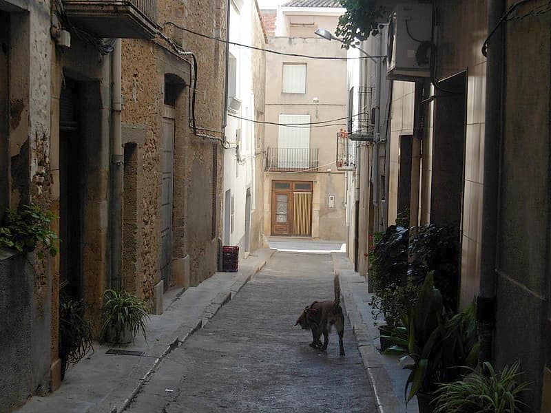 Vista de la Jana