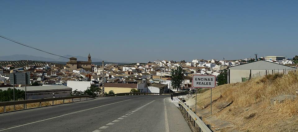 Vista de Encinas Reales