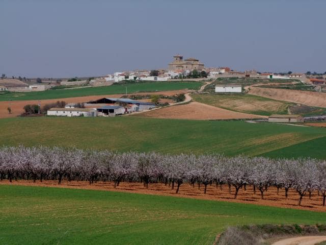 Vista de Pinarejo