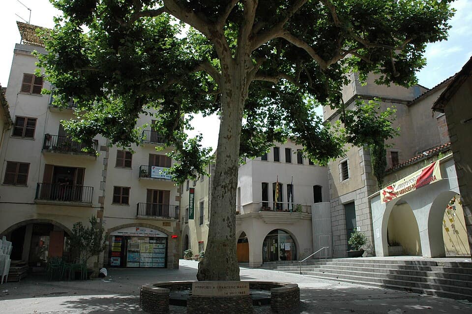 Vista de Arbúcies
