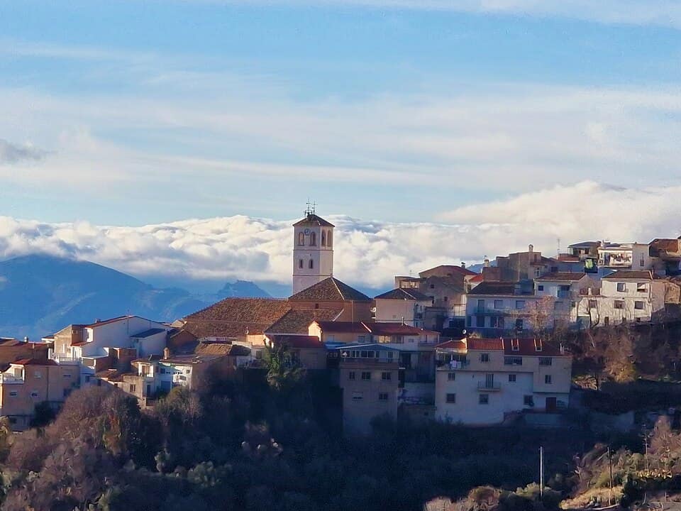 Vista de Cogollos de la Vega