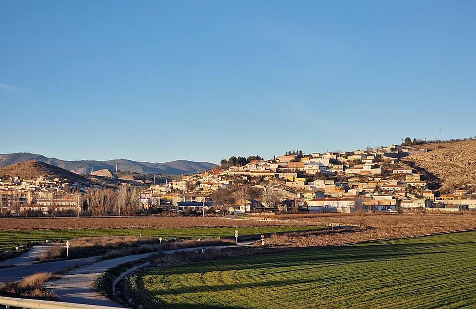 Vista de Pinos Puente