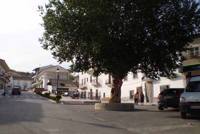 Vista de Villanueva de las Torres