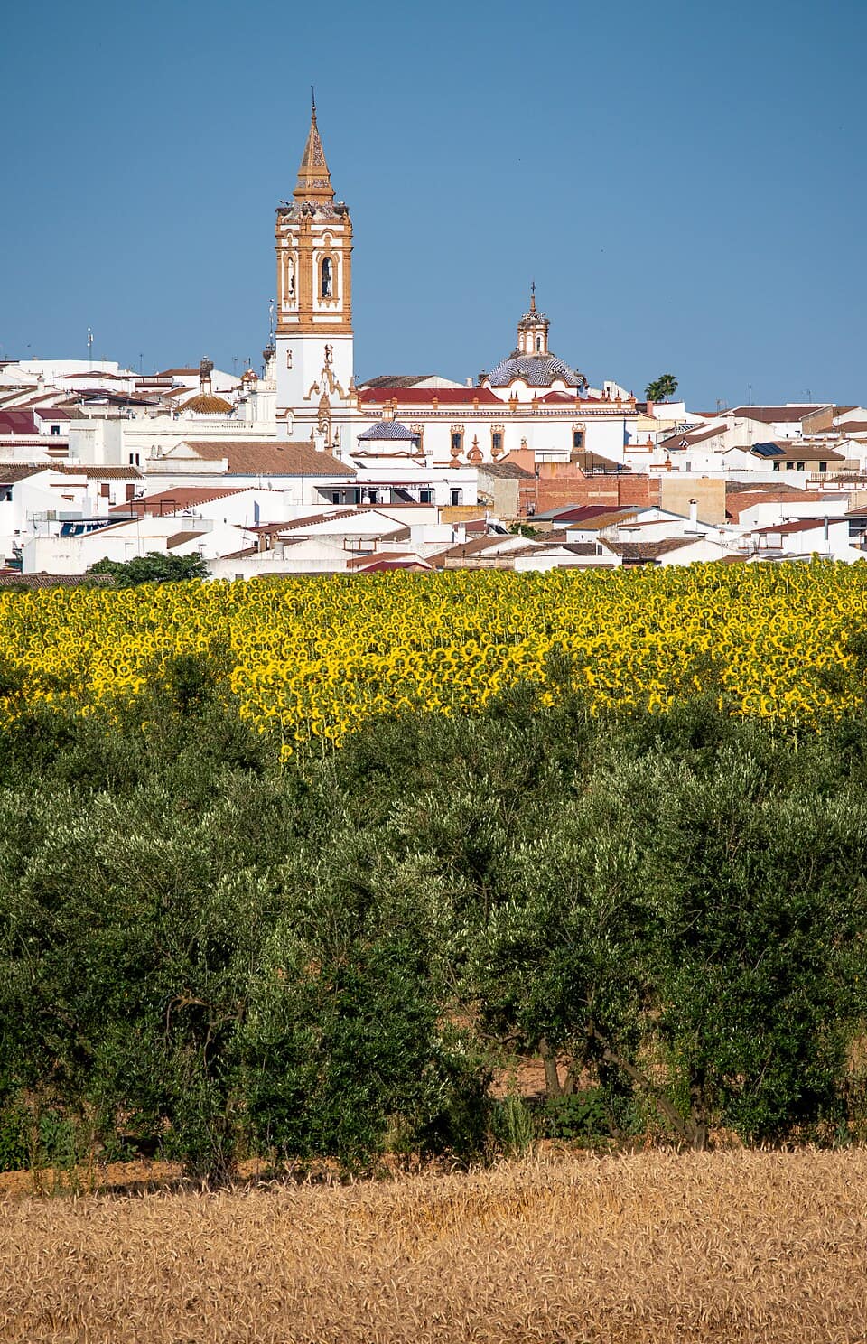 Vista de Rociana del Condado