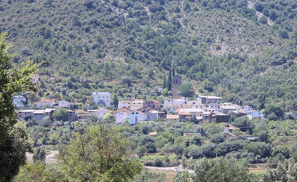 Vista de Palo