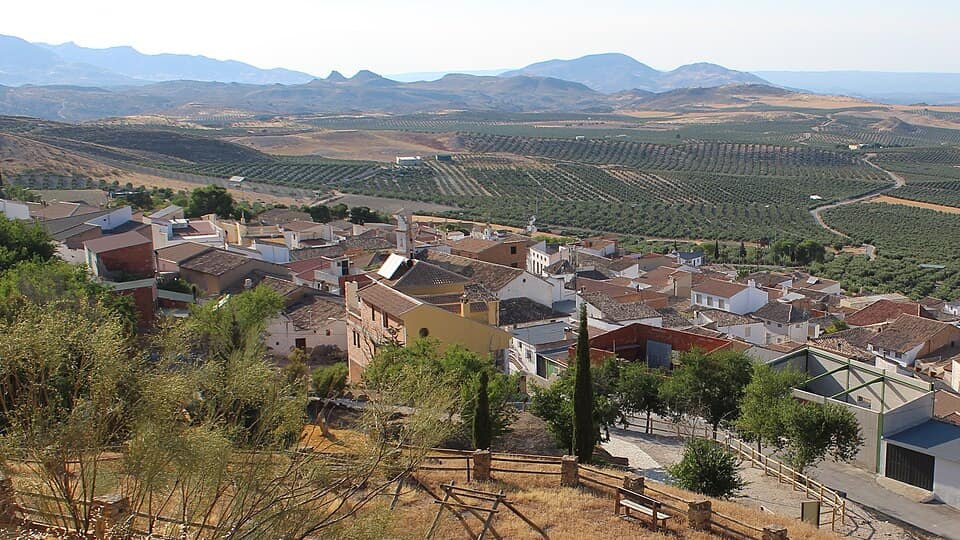Vista de Larva