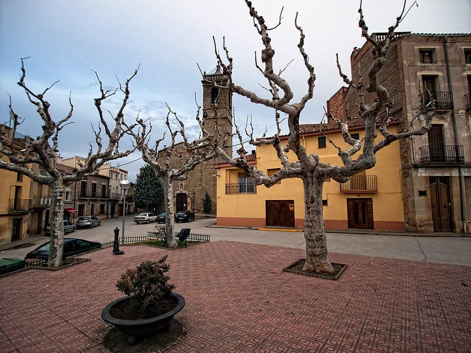 Vista de La Fuliola