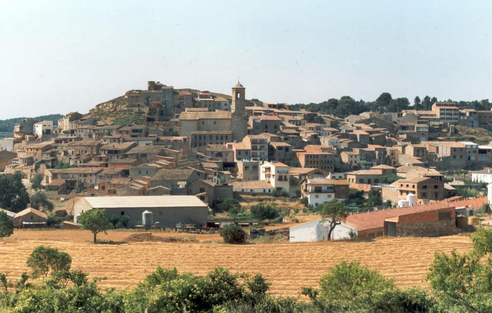 Vista de Omells de na Gaia, Els