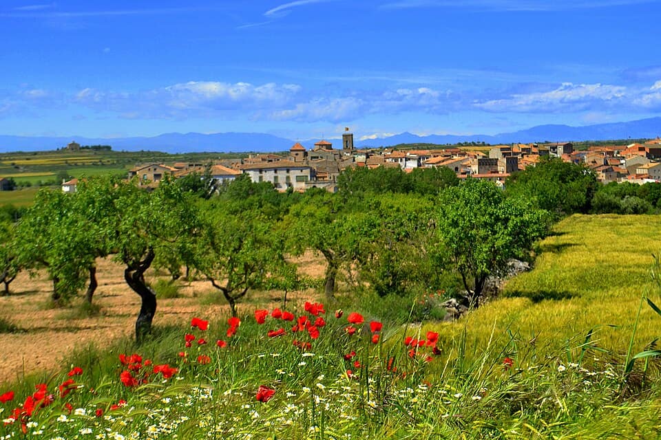 Vista de Tarroja de Segarra