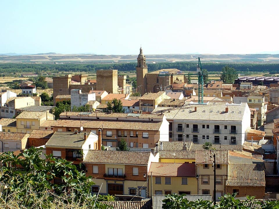 Vista de Agoncillo