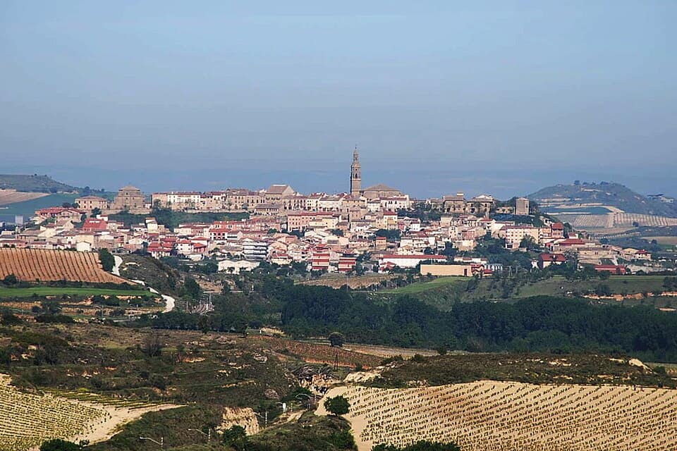 Vista de Briones