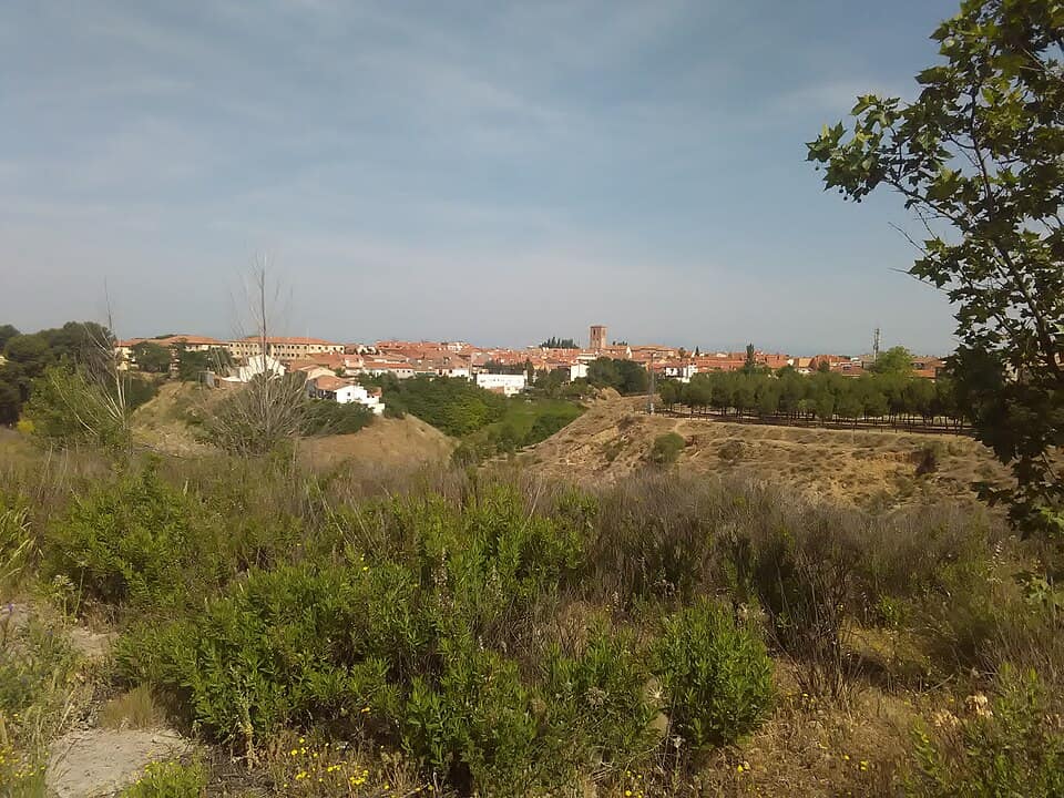 Vista de Paracuellos de Jarama
