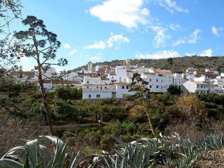 Vista de Guaro