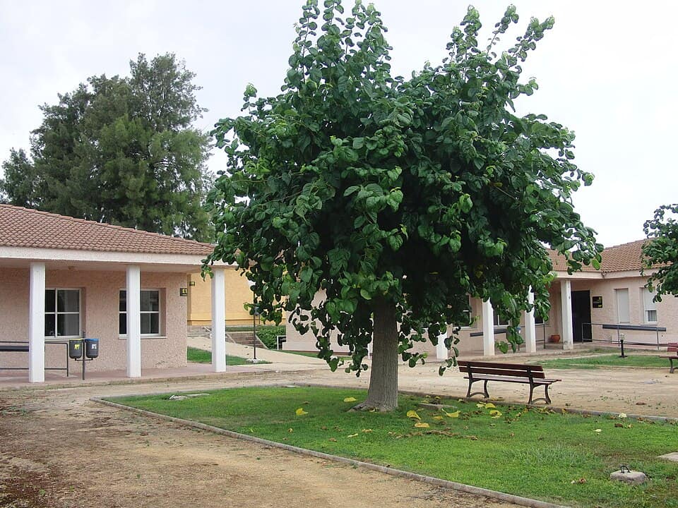 Vista de Mollina