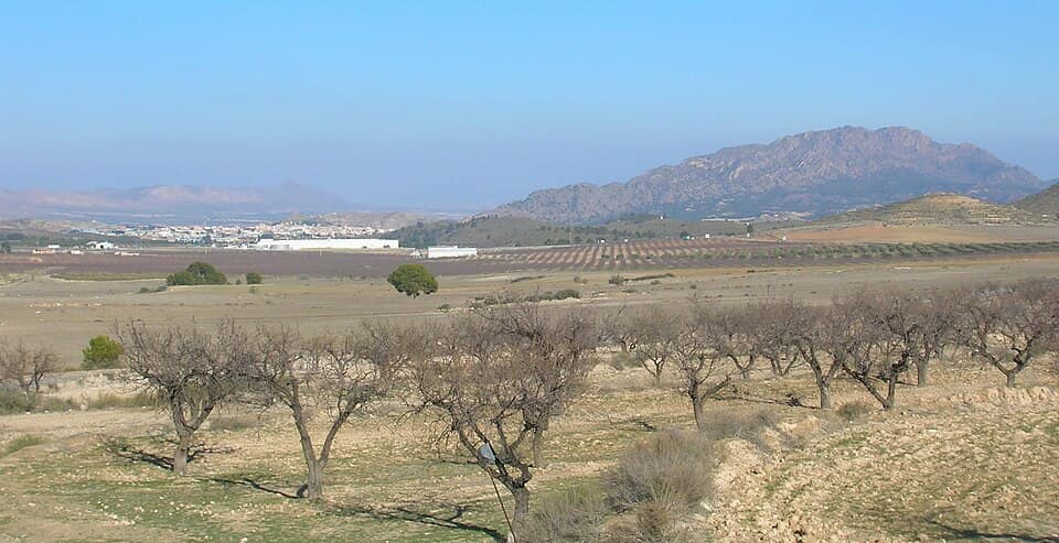 Vista de Calasparra