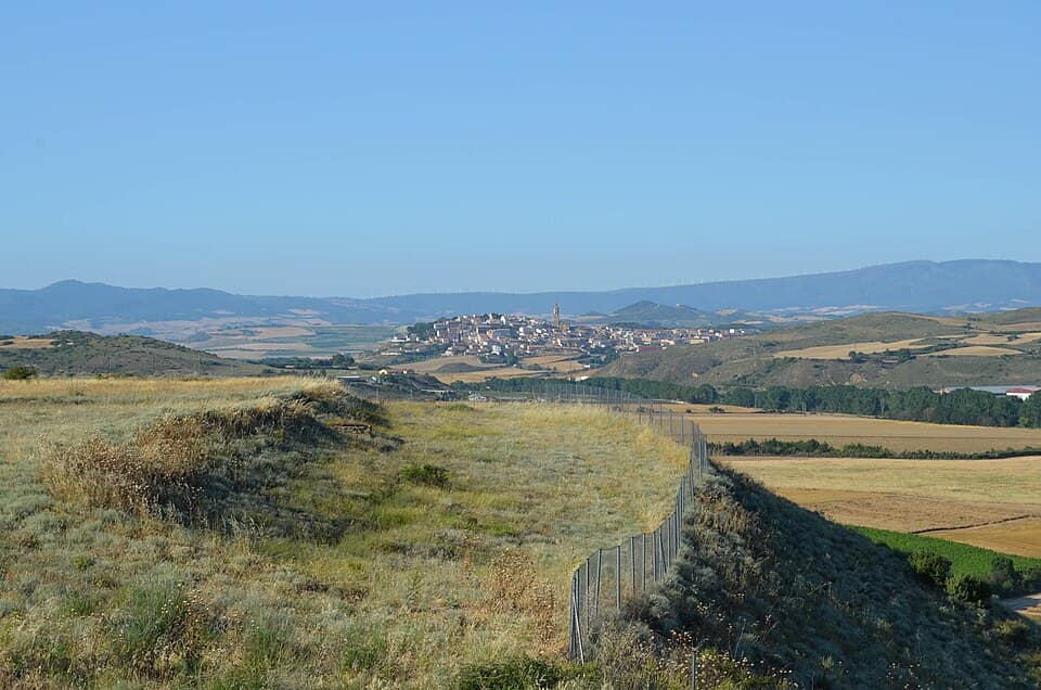 Vista de Mendigorria