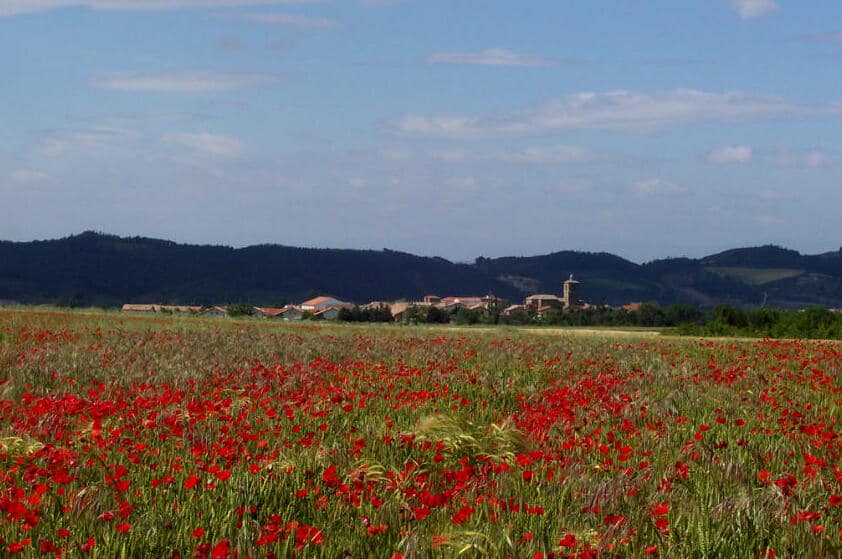 Vista de Muruzábal