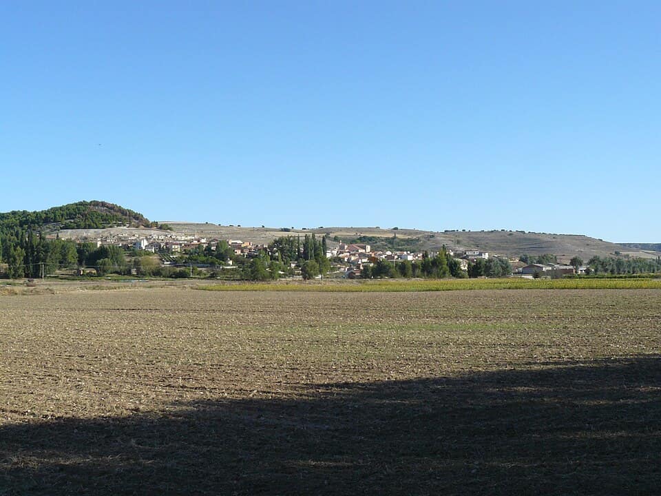 Vista de Castrillo de Don Juan