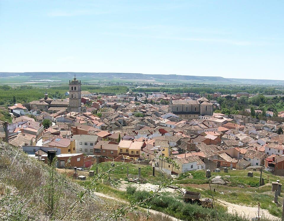 Vista de Dueñas