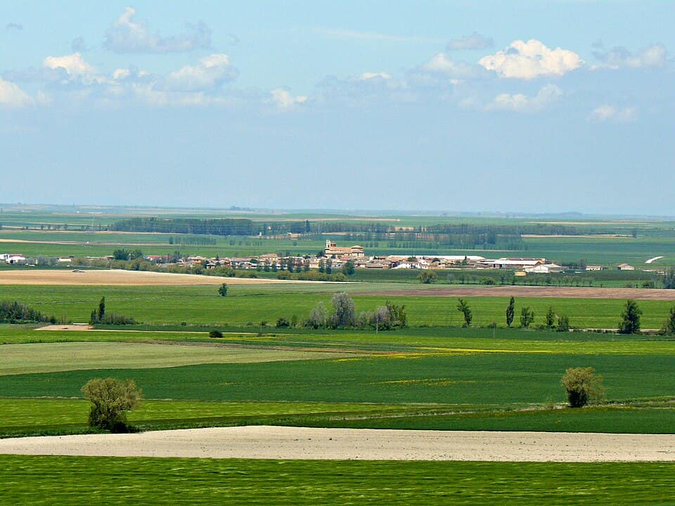 Vista de Meneses de Campos