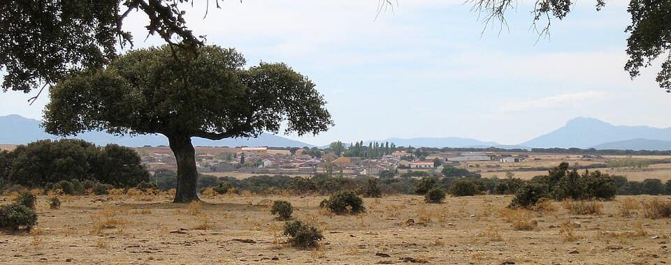 Vista de Carrascal del Obispo