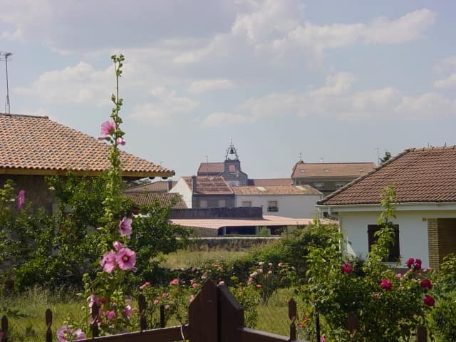 Vista de Casillas de Flores