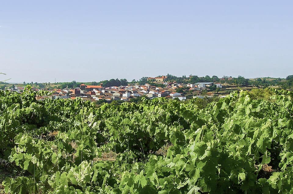 Vista de Masueco