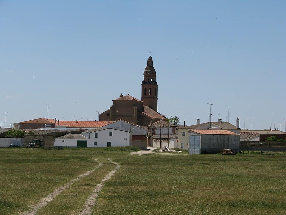 Vista de Palaciosrubios