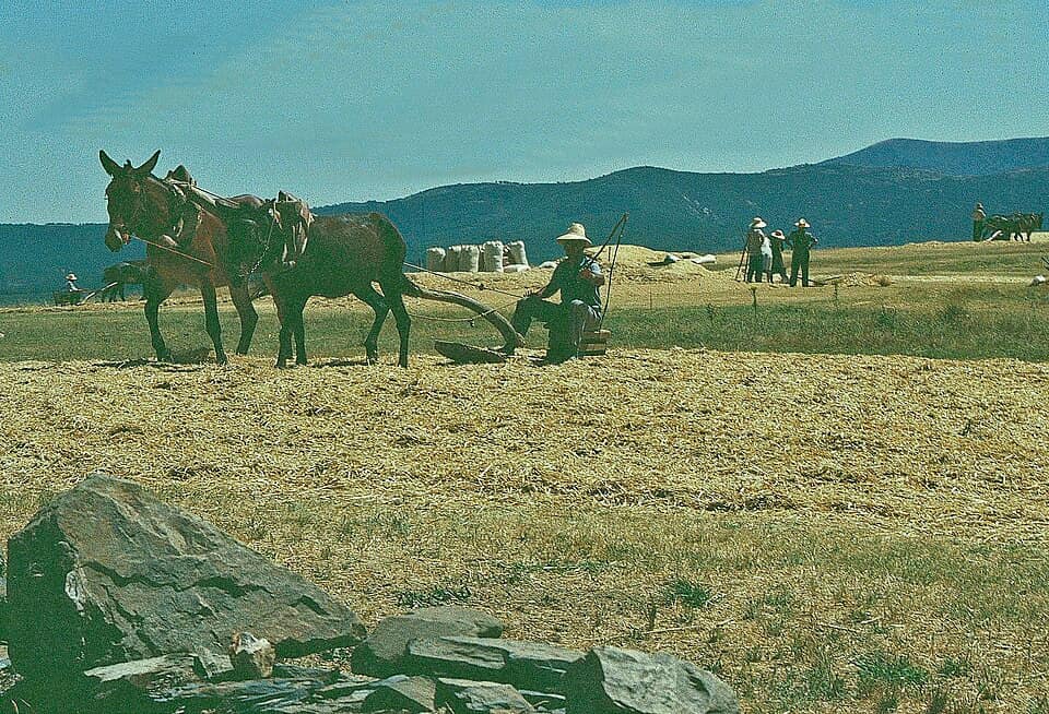 Vista de Serradilla del Llano
