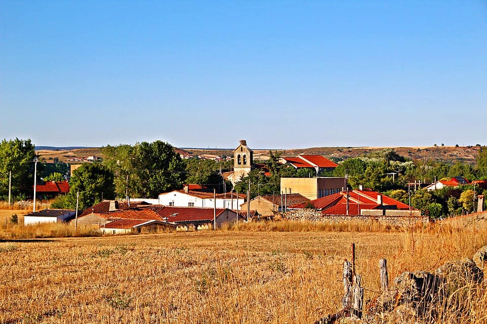 Vista de Zarapicos