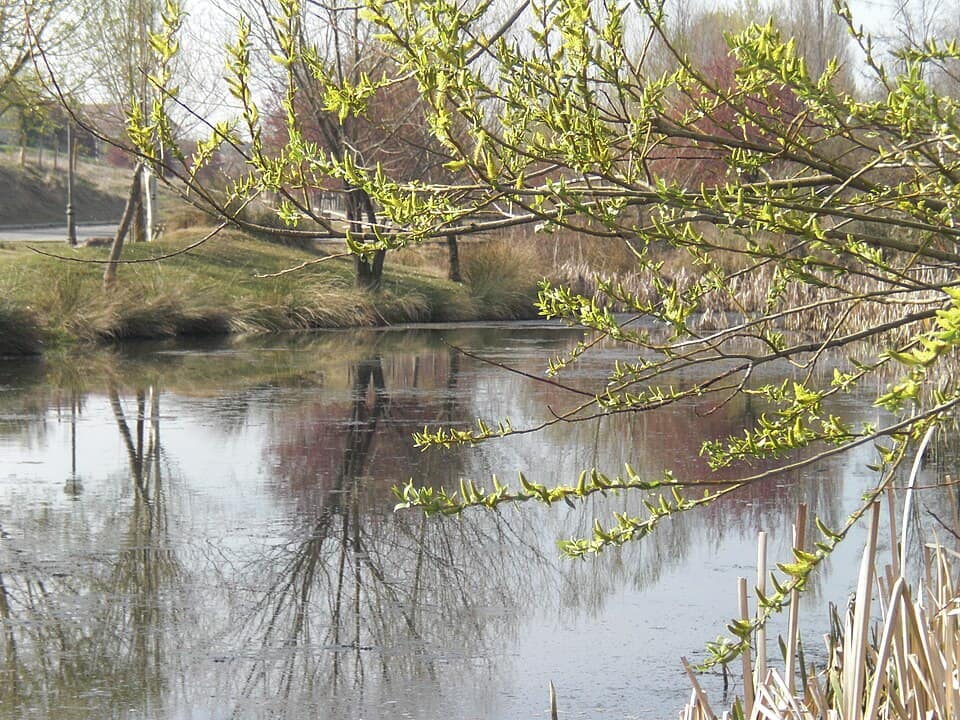 Vista de Marugán