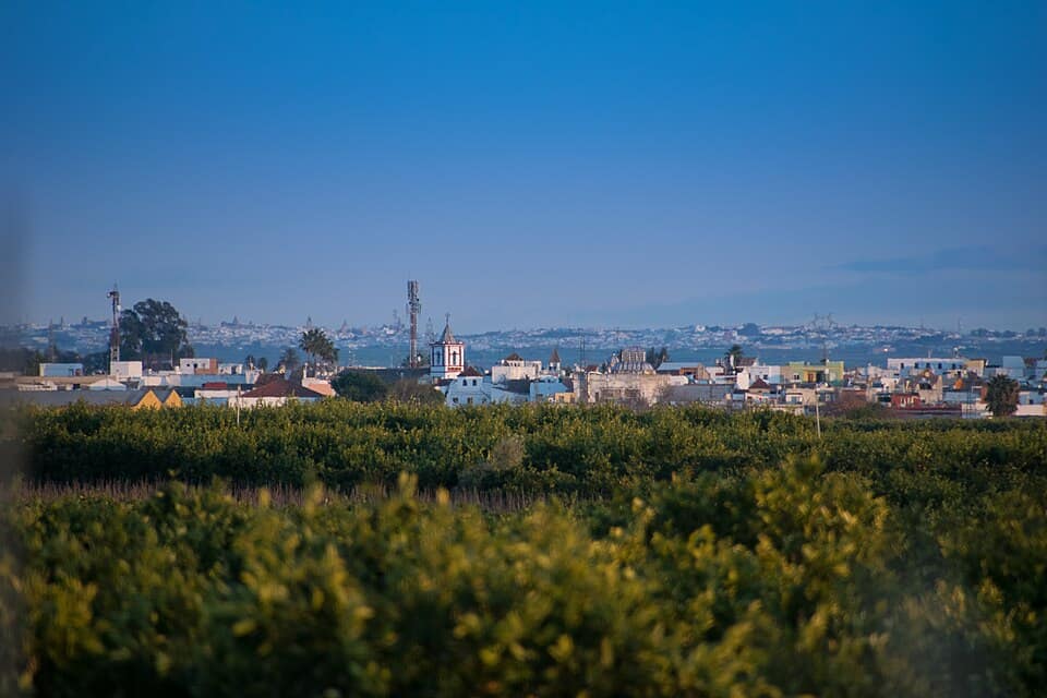 Vista de Brenes