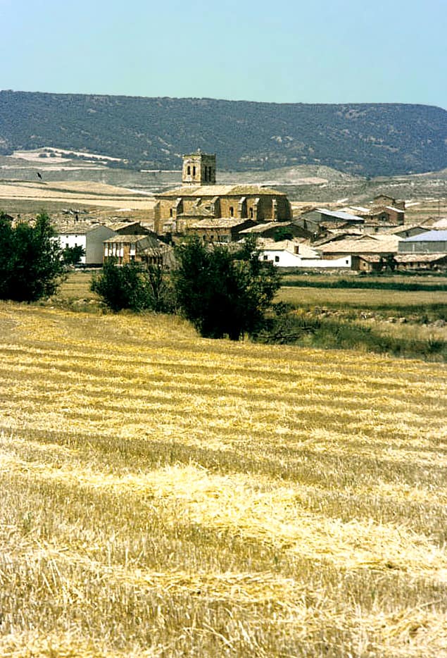 Vista de Almaluez