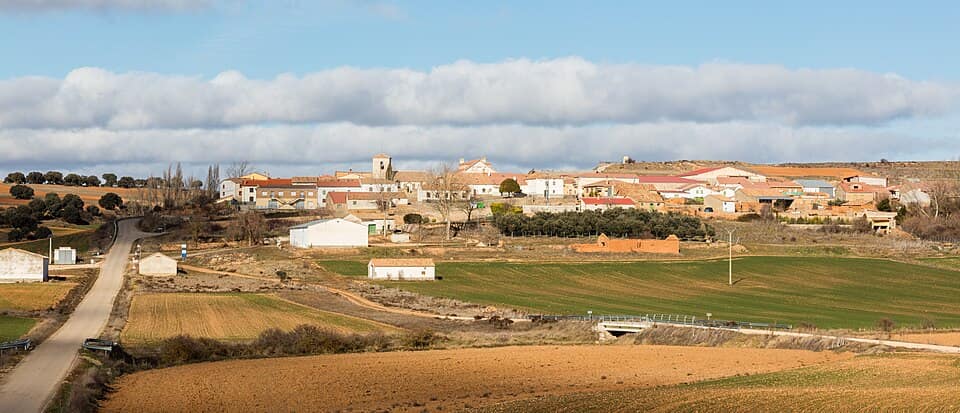 Vista de Viana de Duero