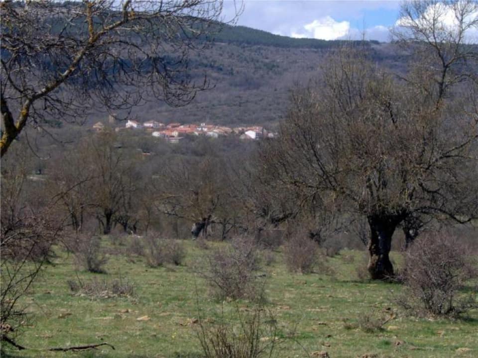 Vista de Villar del Ala