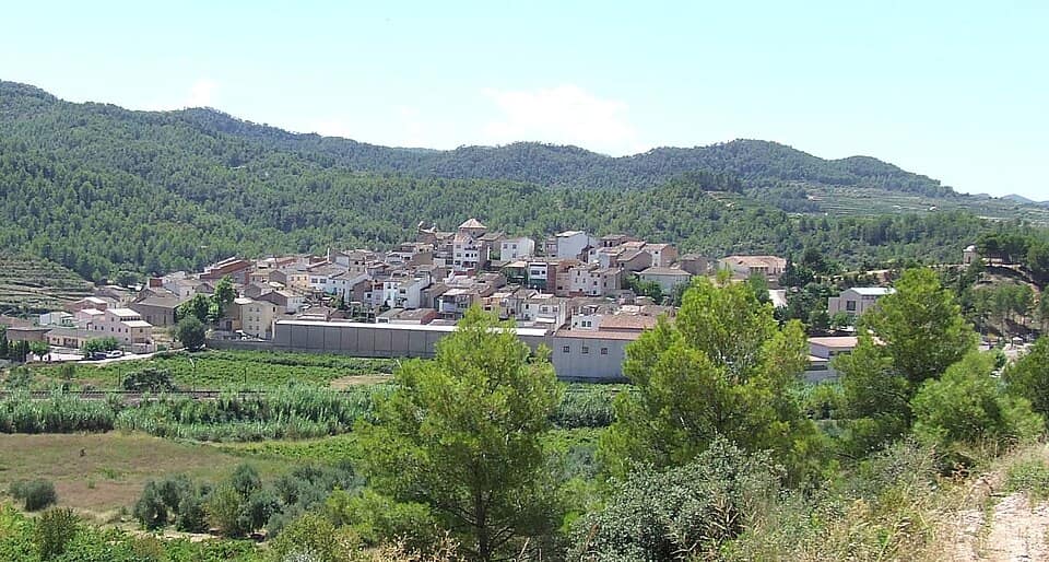 Vista de Capçanes